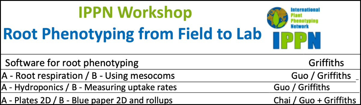 IPPN 2019 workshop invited speaker Marcus Griffiths